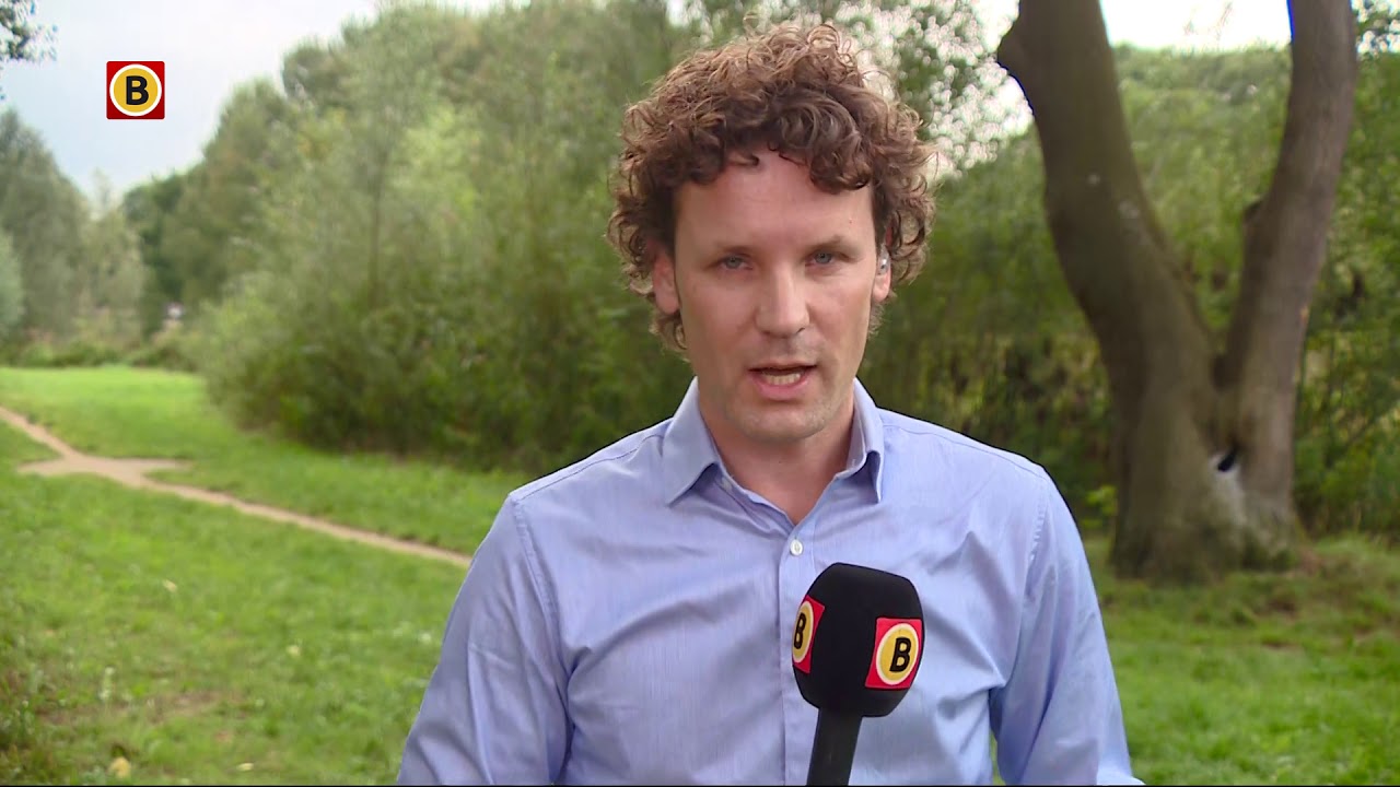 Wespennest weggehaald