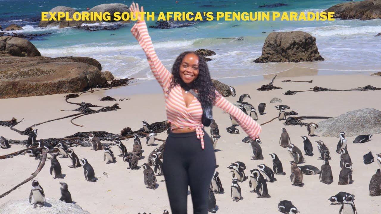 Exploring South Africa's Boulders Beach: Home of the African Penguins 🐧✨