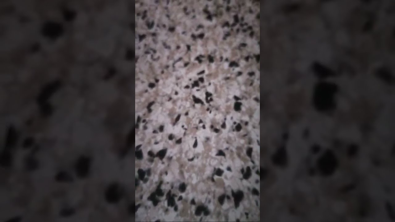 شهيوات أم عزيز est en direct !