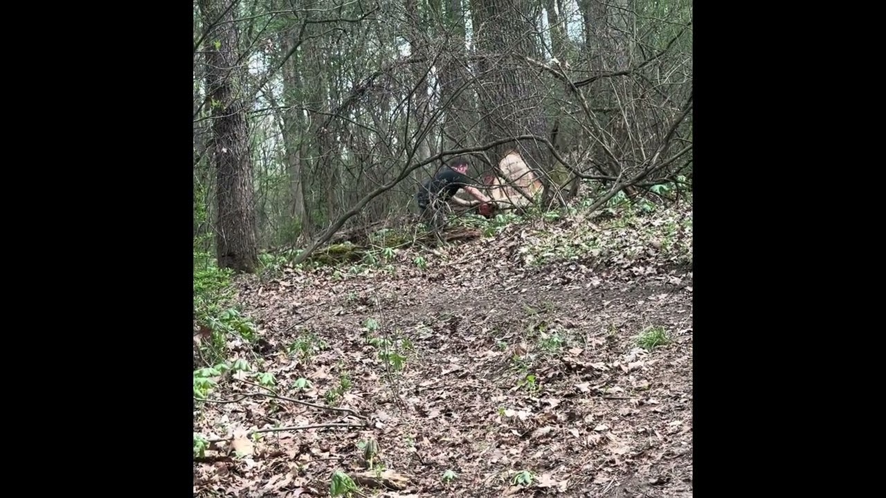 Frick sawmill set up #1 site prep