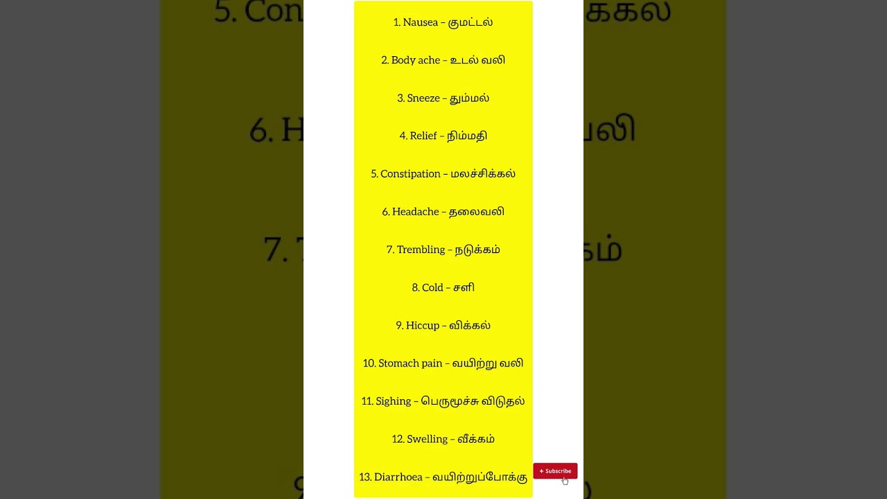 Daily Human actions🤯 in English |Tamil Spoken English