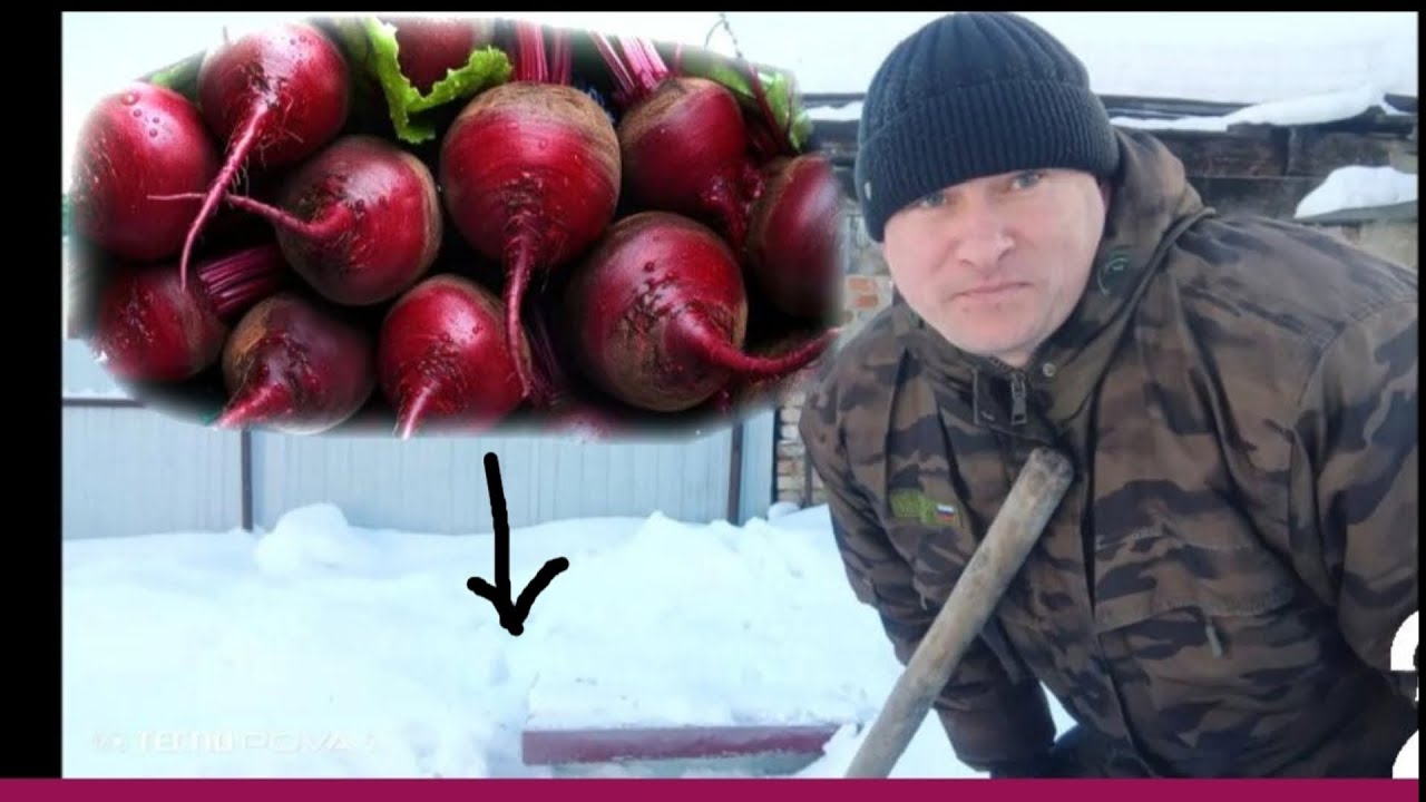 Блог/Денис Савенков/обзор погреба,запасы на зиму,рубем дрова в мороз -30 градусов/