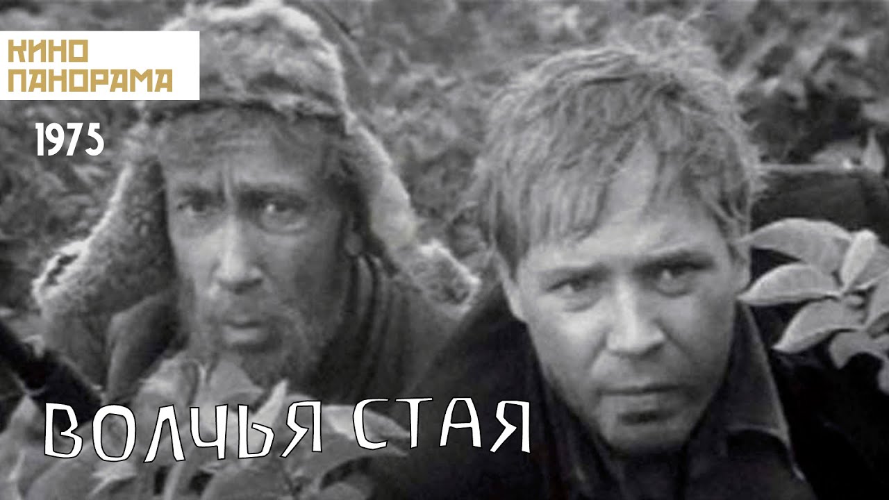 Волчья стая (1975 год) драма