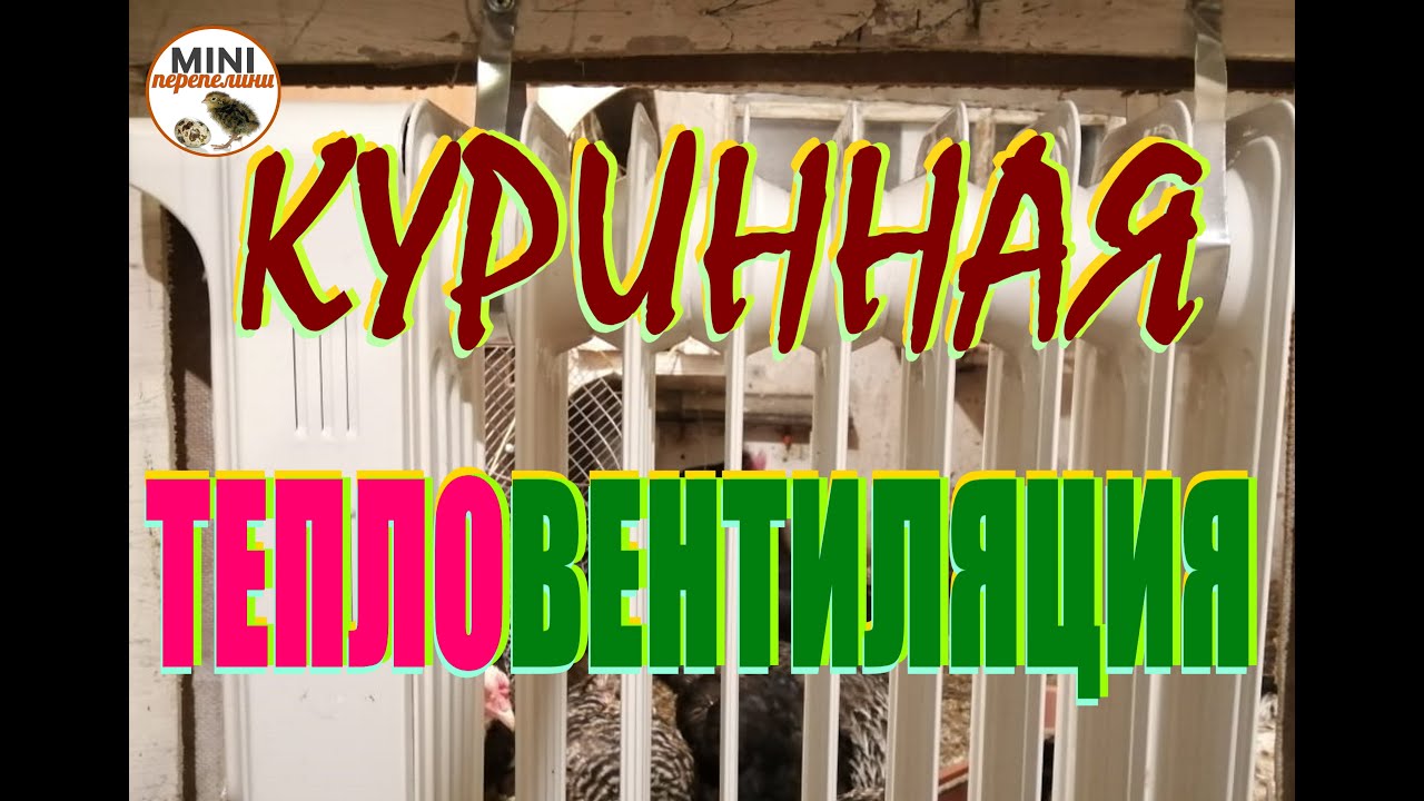 Вентиляция и отопление в курятнике. Не дорого, но эффективно.