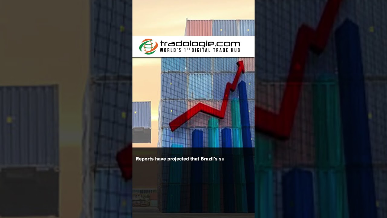 Brazil's sugar exports likely to hit record high in 2023-24 season.
