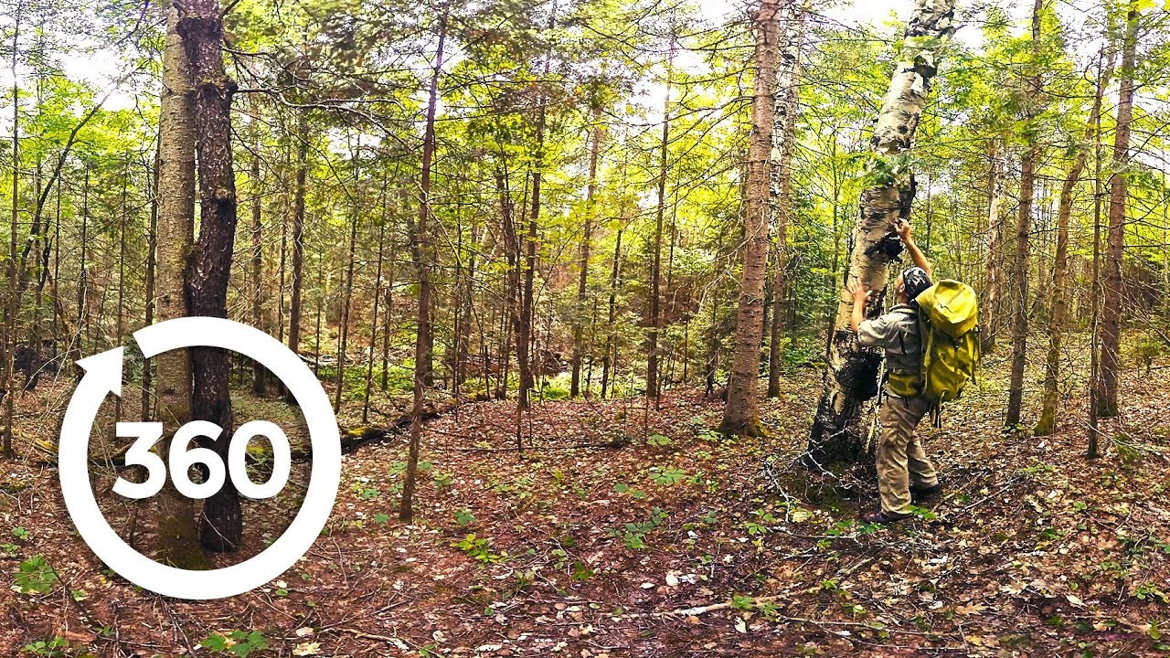 Survival Means Remaining Proactive (360 Video)