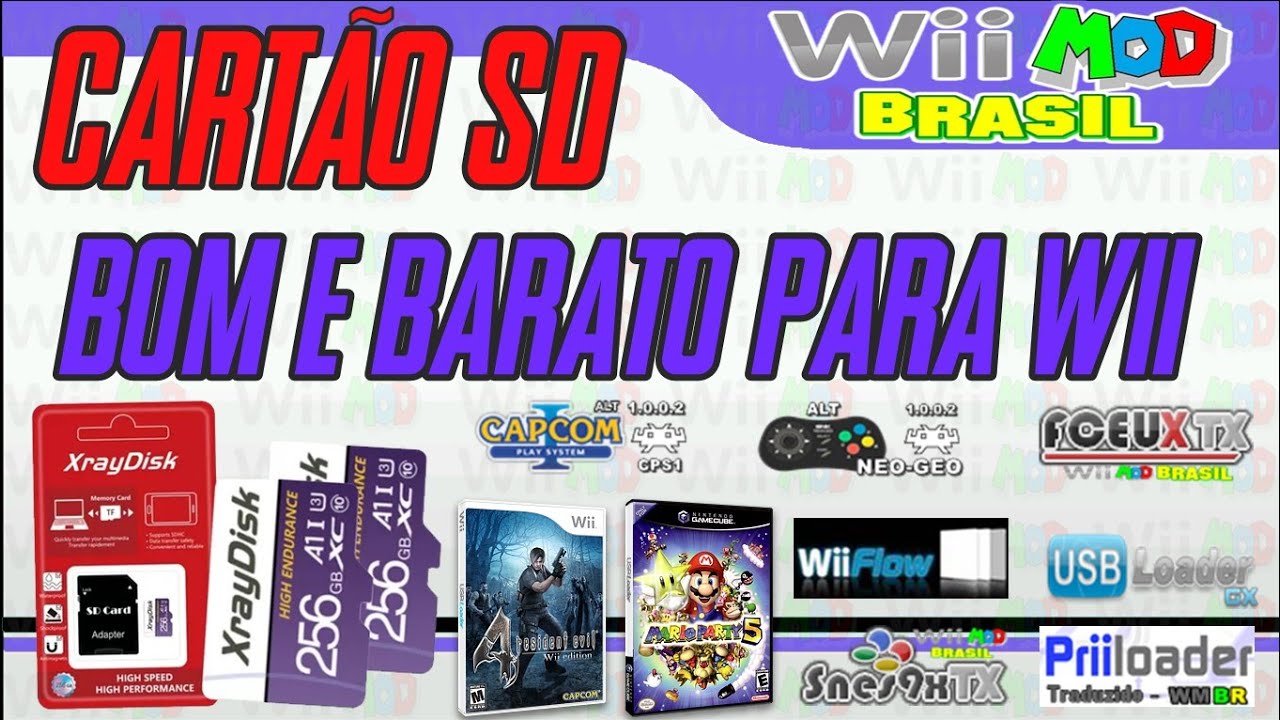 (176) Cartão SD 256gb bom e barato para Wii e outros consoles