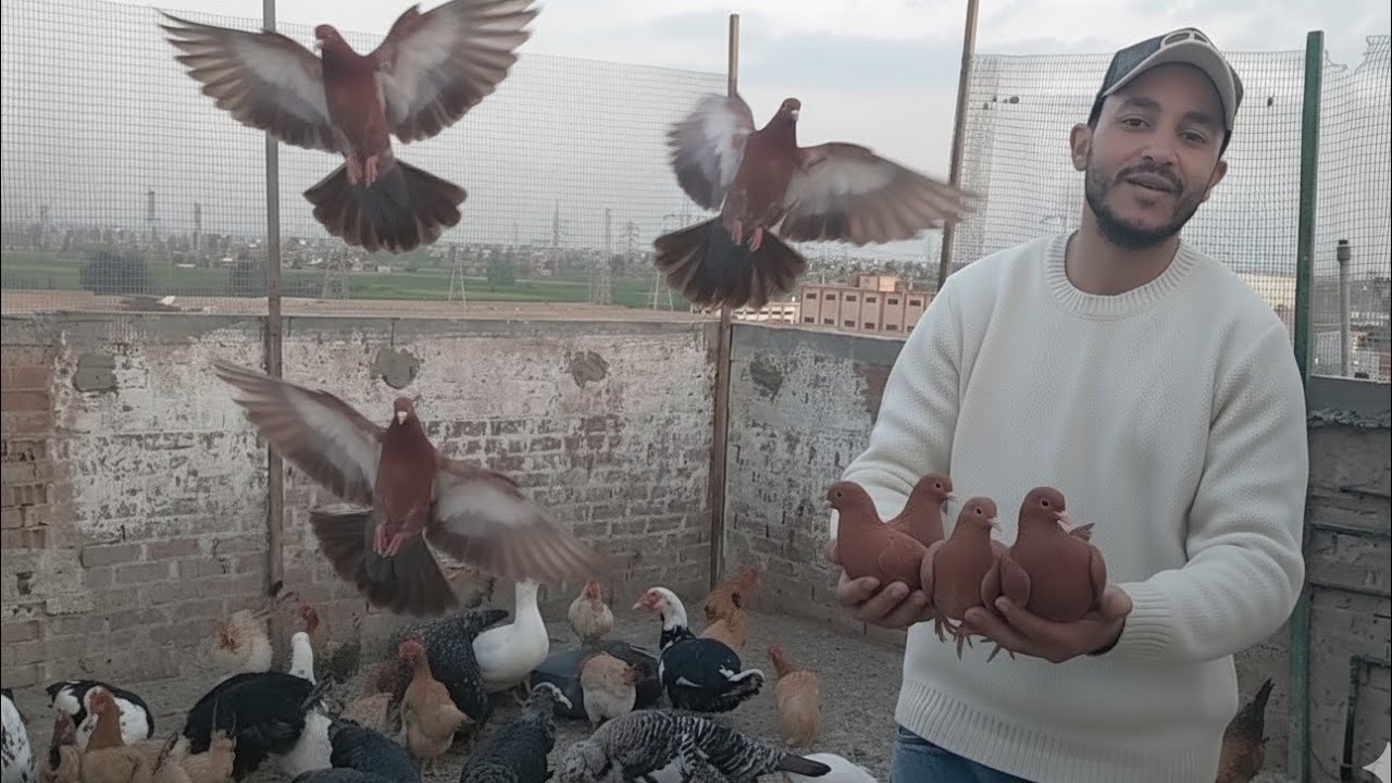 ممنوع لأصحاب القلوب الضعيفة.. جمال الحمام ده مش طبيعي!مش هتصدق نظافة وتقليب الحمام ده.. 
