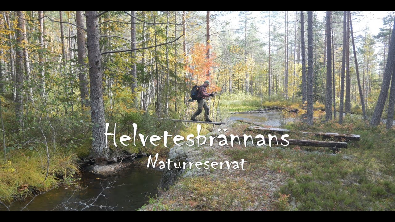 Helvetesbrännan nature reserve - a visit to roadless wilderness