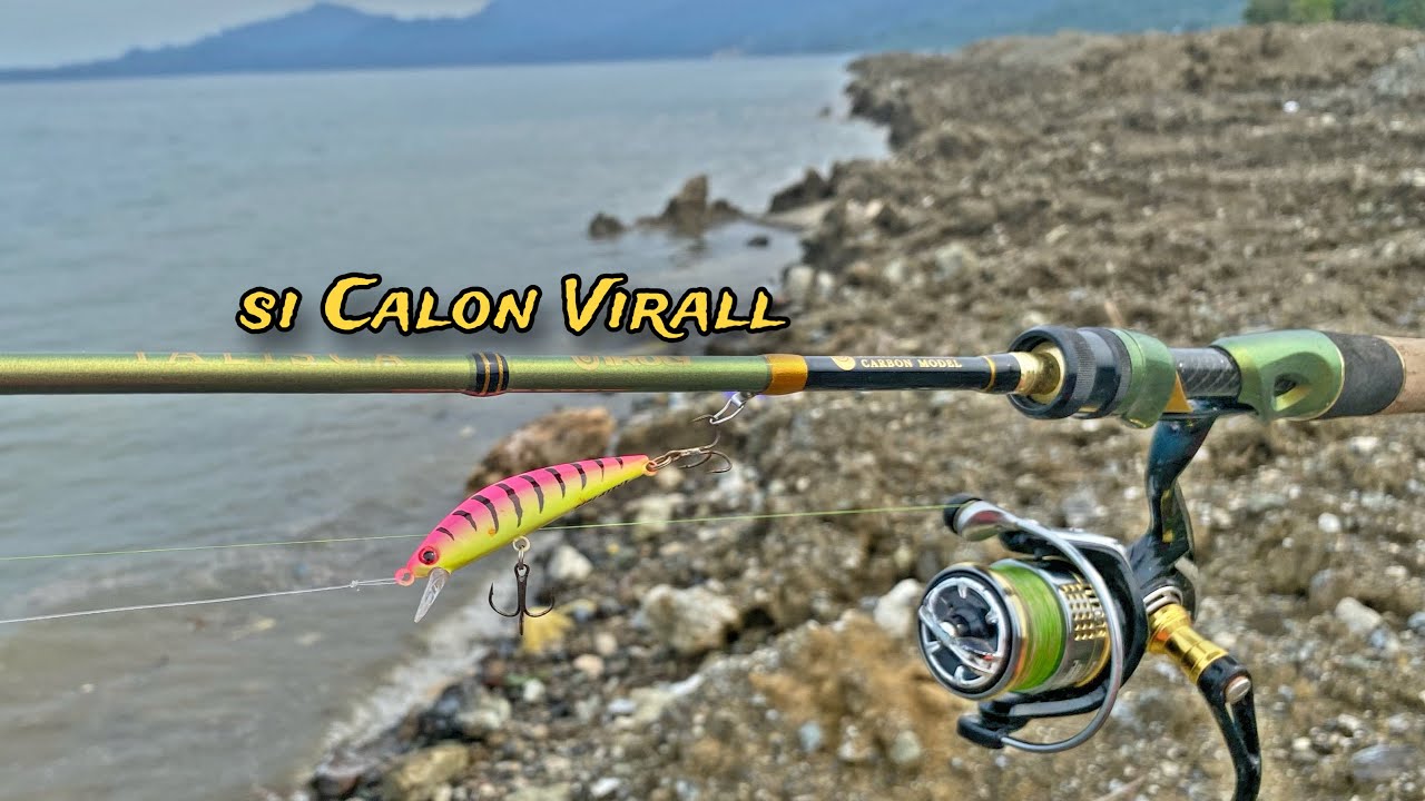 Spill Umpan, dan Cara Mancing Casting Menggunakan Umpan Minnow Replika 8 Gram di Pinggiran Pantai