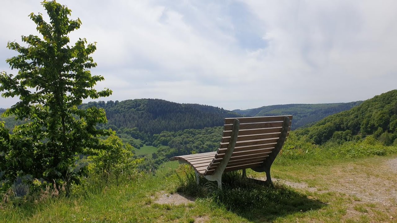 Wanderung Kronenbergrunde Trittenheim Zummethöhe