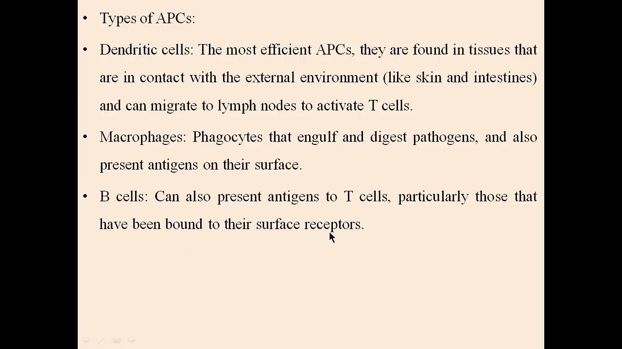 ANTIGEN PRESENTING CELLS -APC