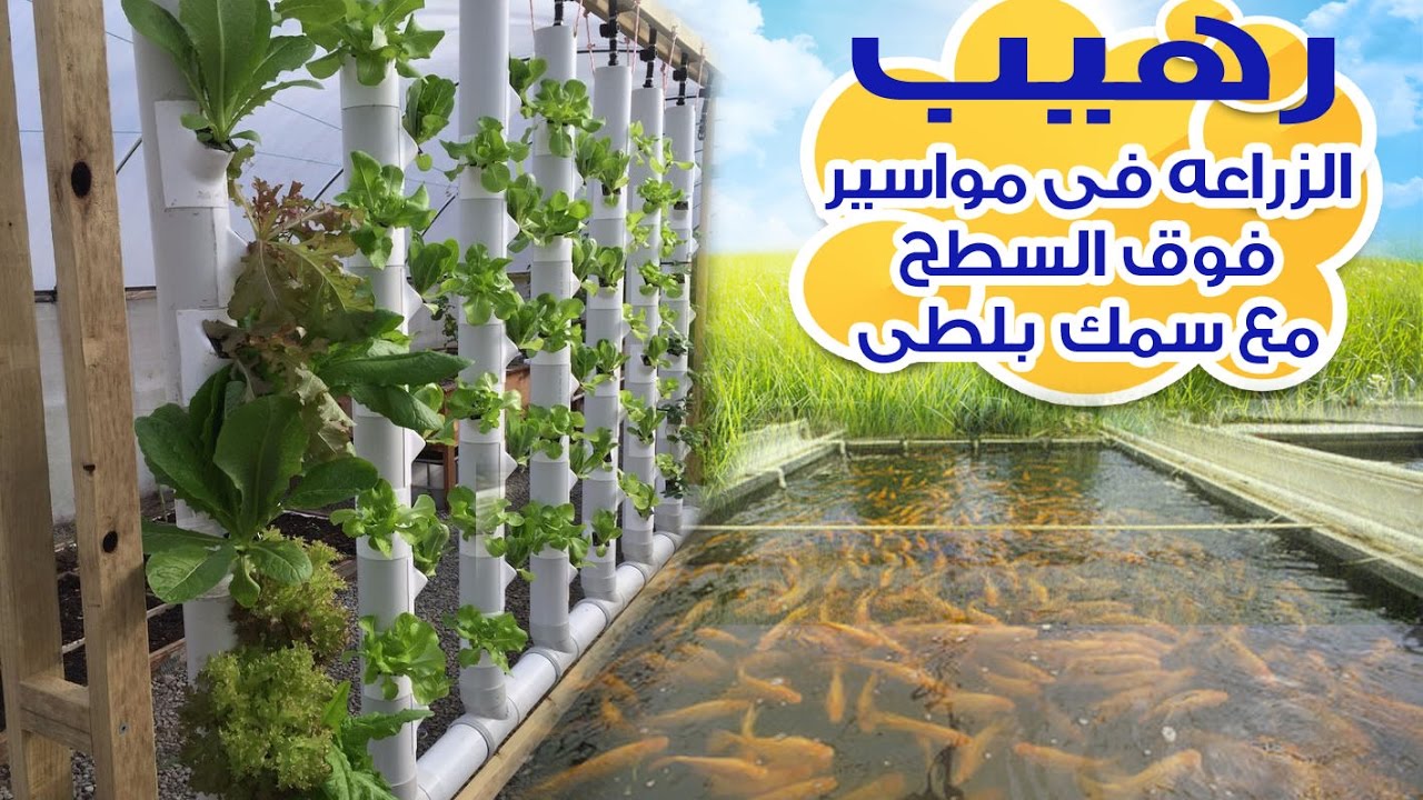 الزراعه المائية فى المواسير باقل التكلفة الجزء (1) - Hydroponics Part 1