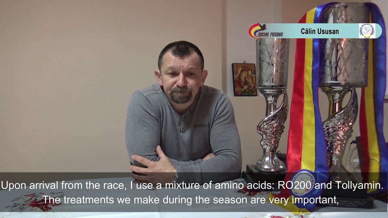 Multiplul campion național, Călin Ususan, un columbofil la superlativ