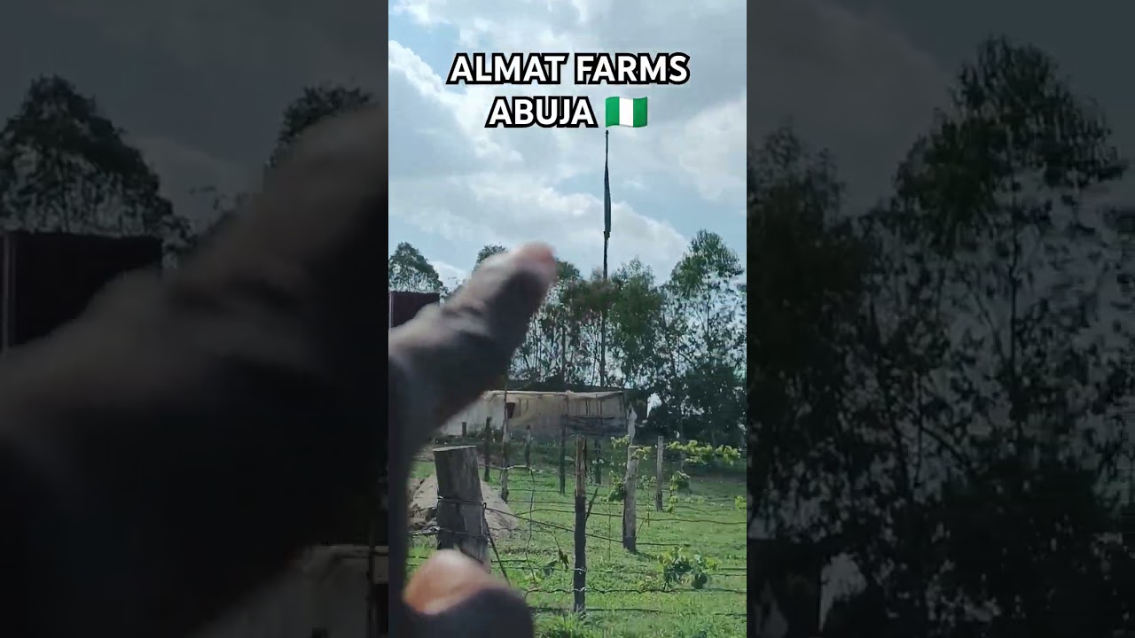 ALMAT FARMS ABUJA 🇳🇬. #abujanigeria #africa #abiastate #abuja #nigerianstate #alexotti #accra #4k