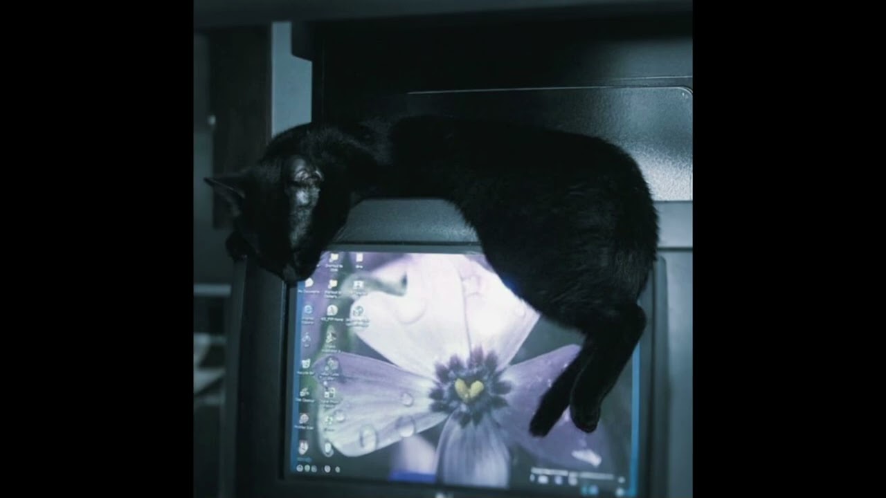 Jah Phnx - Find me (Slowed and Reverb)