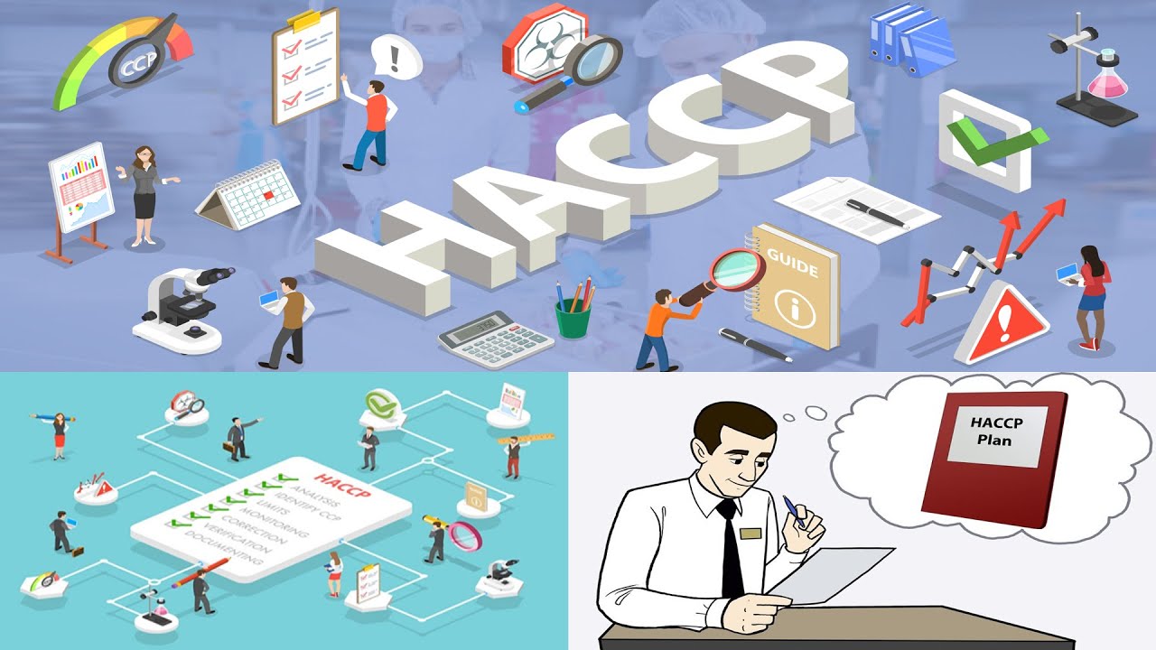 Что такое HACCP и каковы семь принципов HACCP? | Разработка плана HACCP #haccp #fssai