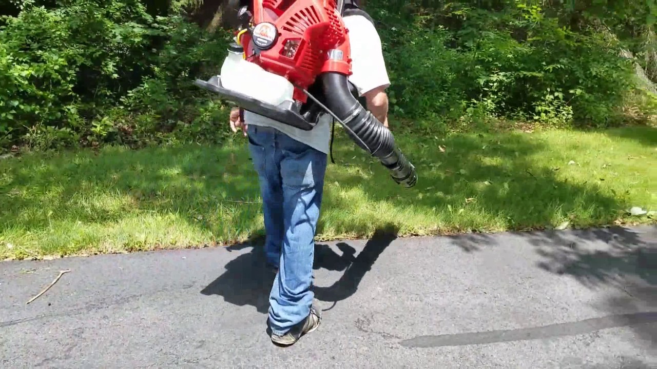 Maruyama BL9000 Back Pack Blower in Action  ,,,Hedge Trimming Debris