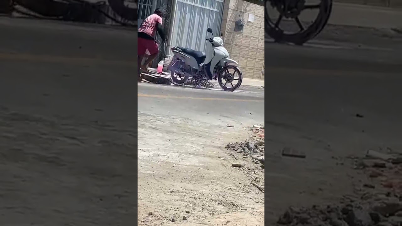 trouxe a bichinha pra lavar
