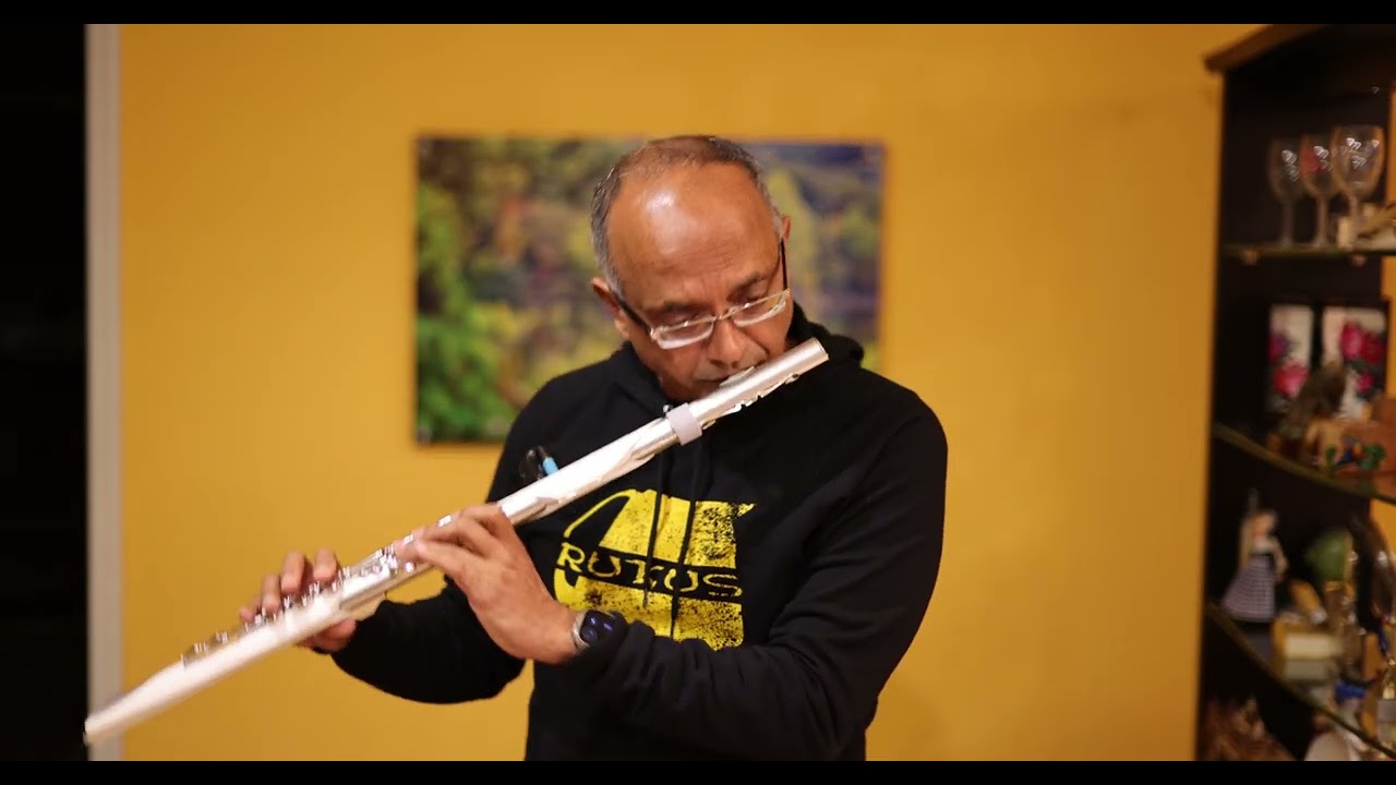 Mera Naam Tu, Aerophone Brisa Cover (Clarinet)