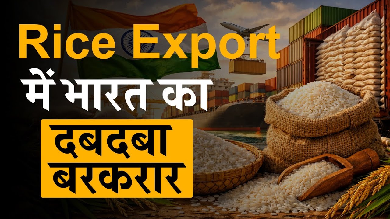 Rice Export में भारत की बादशाहत लगातार हो रही मजबूत | Commodity Today