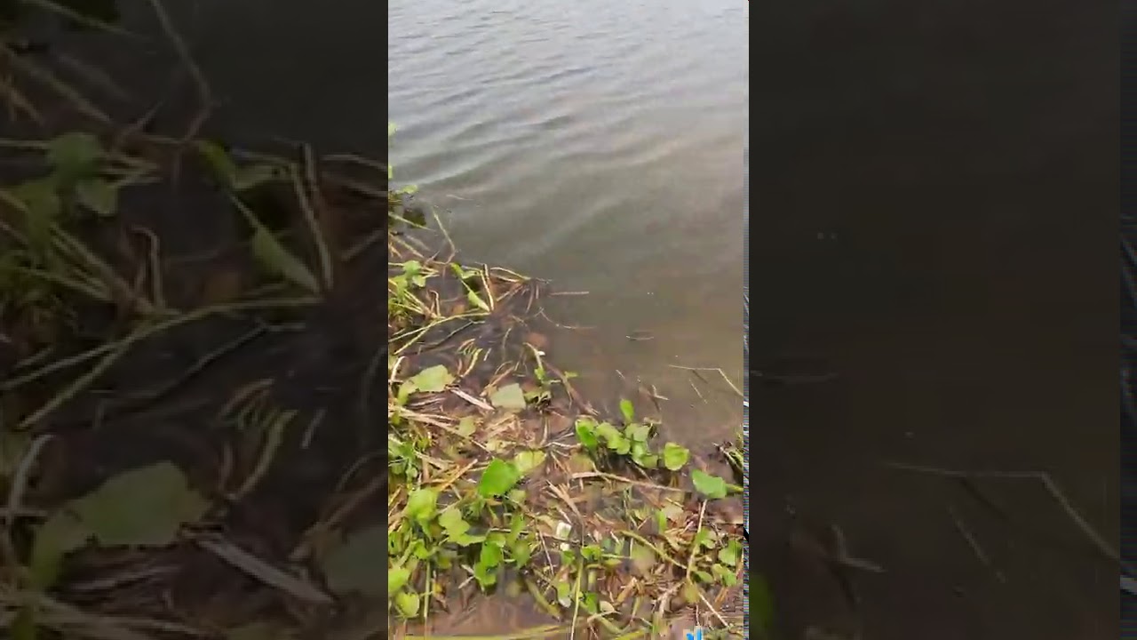 Fishing in head balloki