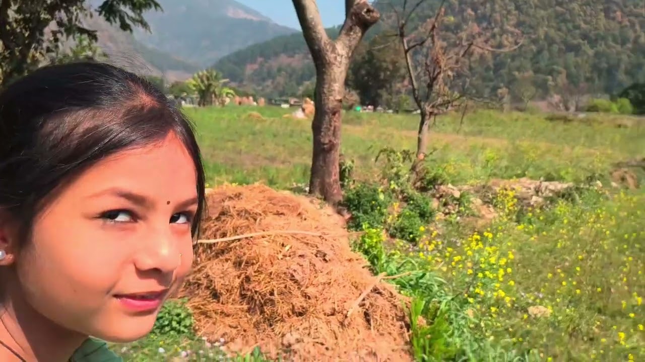 Pithoragarh to Bagrihaat or askote with family for Holi Celebration also Gone  Nepal Border Narangi 