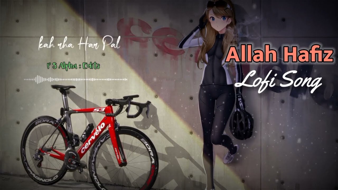 🔥 Zindagi ka Safar Ajnabi | Lofi Slow reverb | Allah Hafiz | Feel The Song