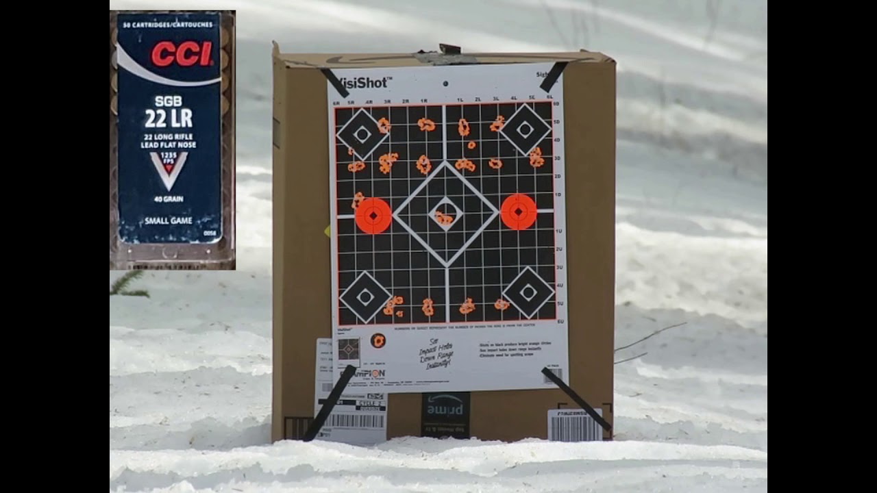 Ruger American 22LR Bolt Action Most Comprehensive Ammo Test 03162019 All 22LR Ammo I can Find