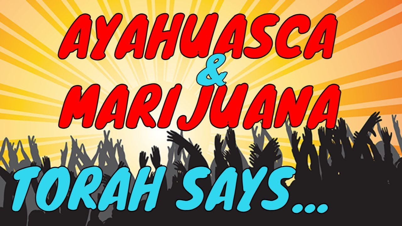 AYAHUASCA & Marijuana: What Does Talmud Say About Using Spiritual Drugs?