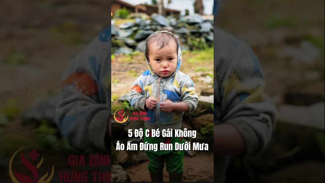 5 Độ C Bé Gái Không Áo Ấm Đứng Run Dưới Mưa    #caohohungthinh #giadinhhungthinh