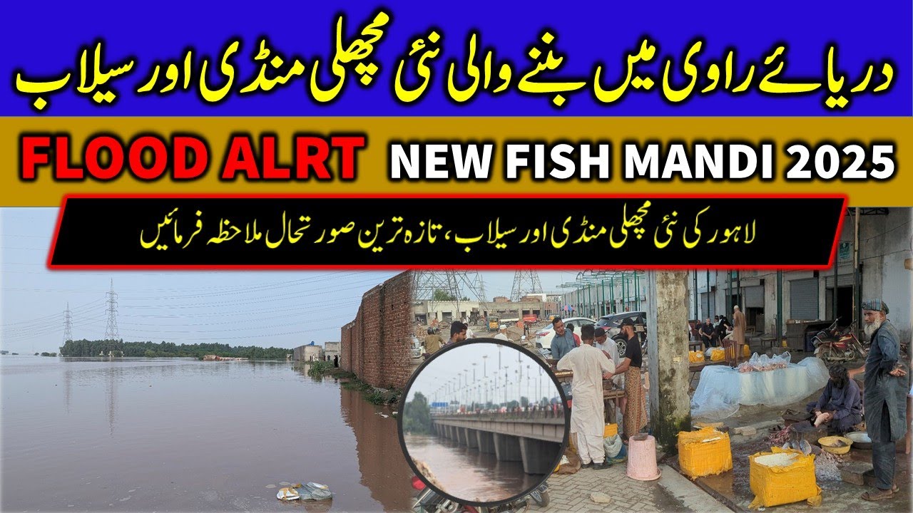 Lahore Fish Mandi FLOOD ALERT 2025 | Machli Mandi Latest Update | New Fish Mandi In Ravi River