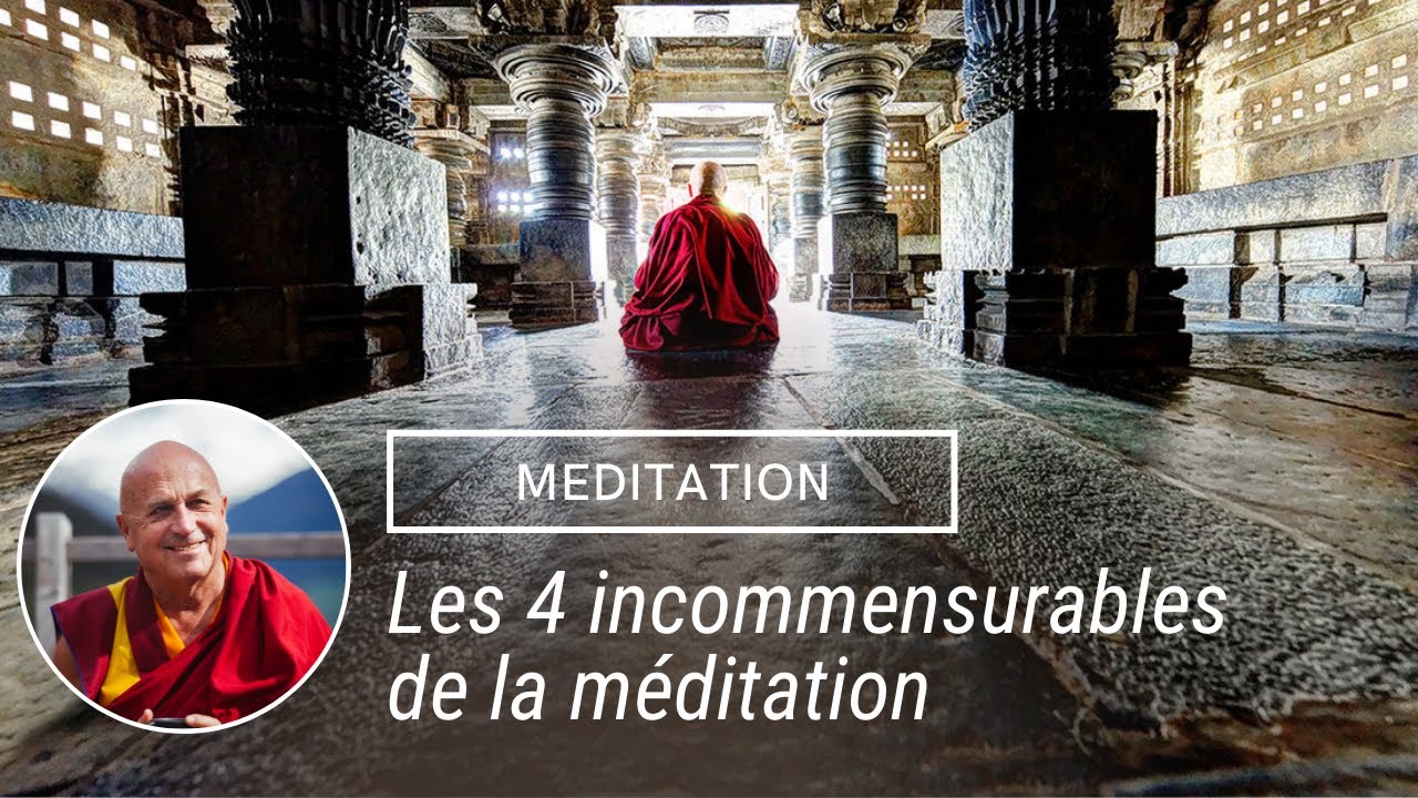 Chapitre 3 - Les 4 incommensurables