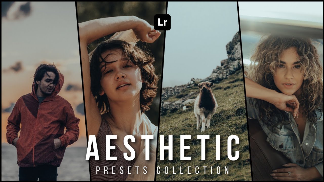 Aesthetic presets | Lightroom mobile and desktop presets | Presets store