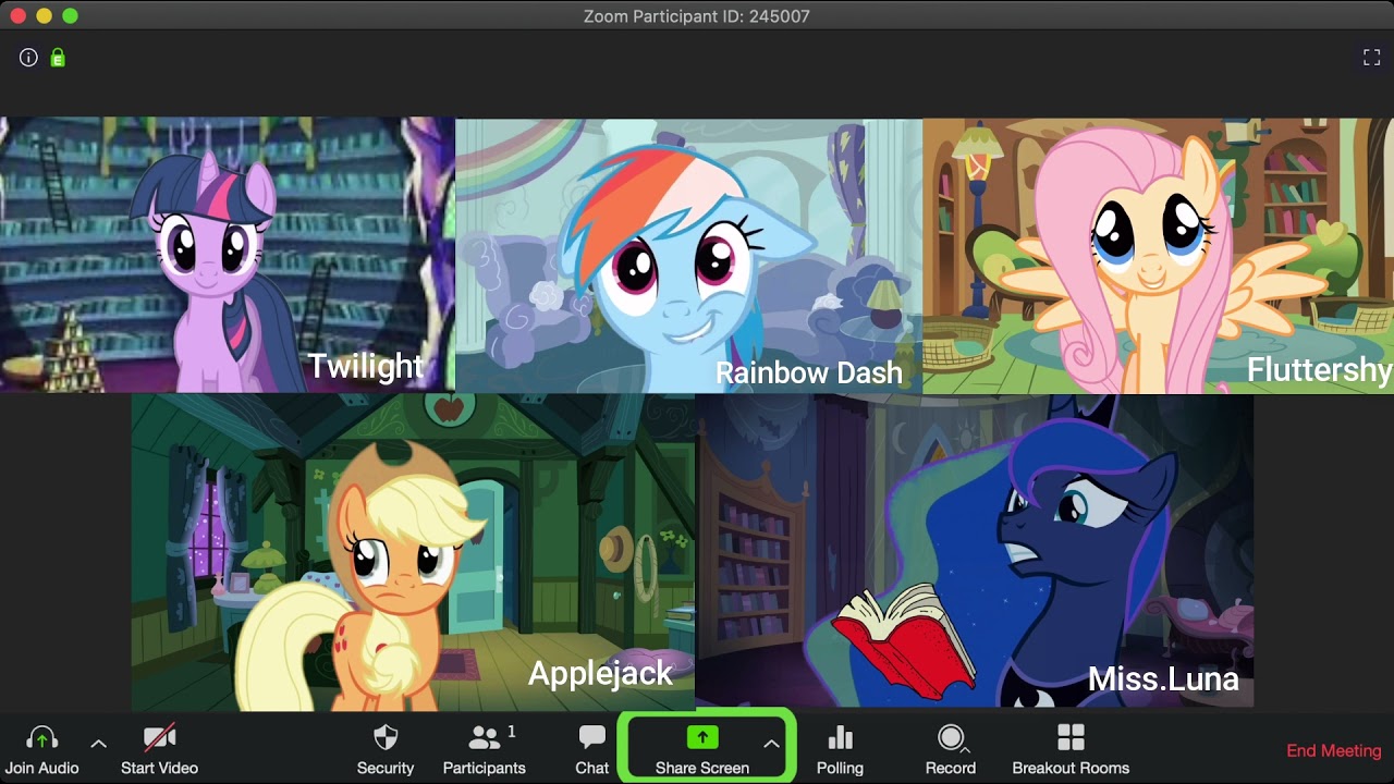 My Little Pony |  Rainbow Dash  Applejack  Twilight and have Zoom Meeting with Princess Luna