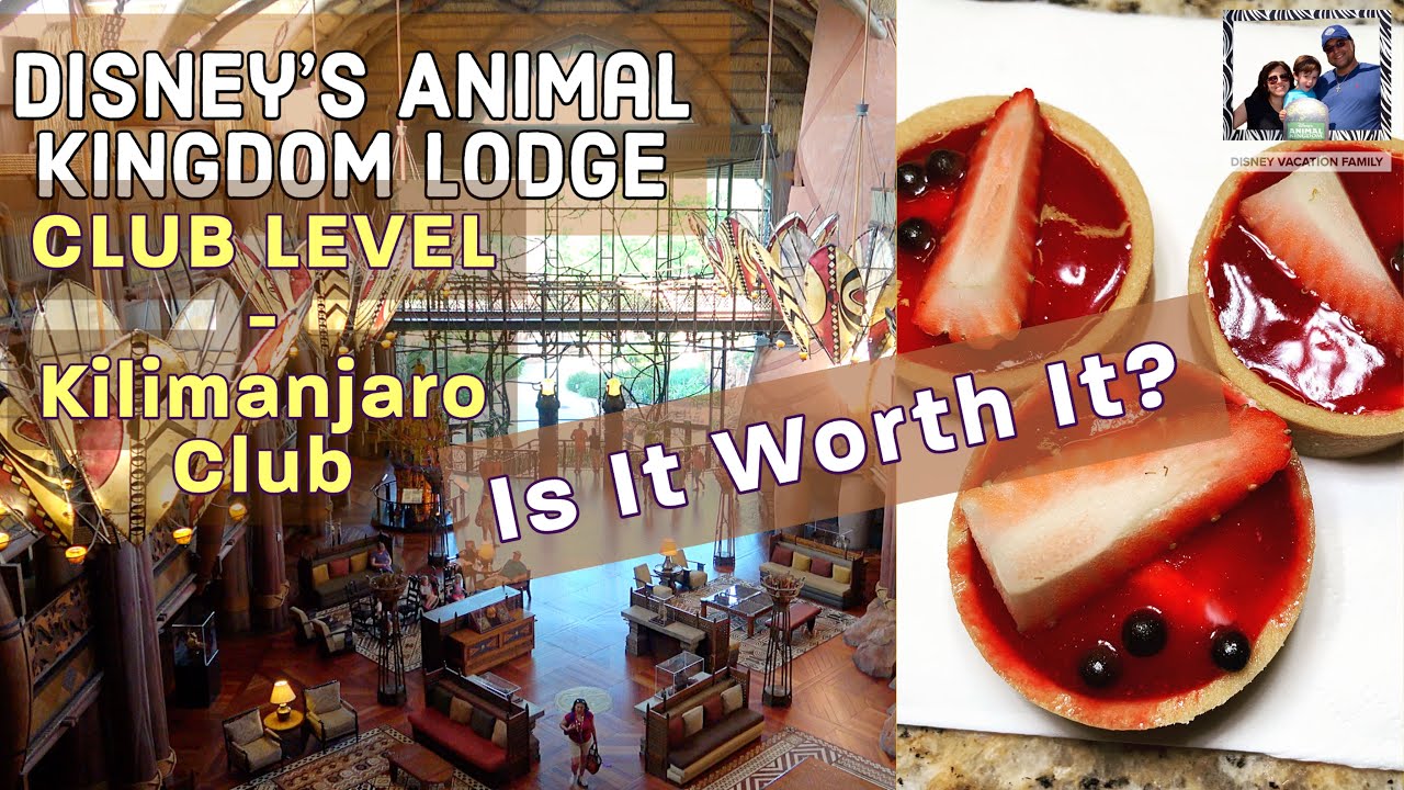 Disney's Club Level at the Kilimanjaro Club in Animal Kingdom Lodge - Is Club Level Worth It?