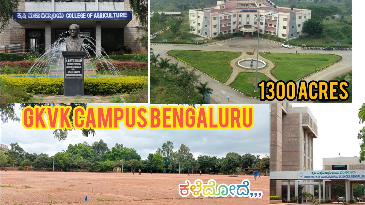 Gkvk Campus bengaluru #agriculture #gkvk #krishimela #horticulture bengaluru #gkvk ground #yelahanka