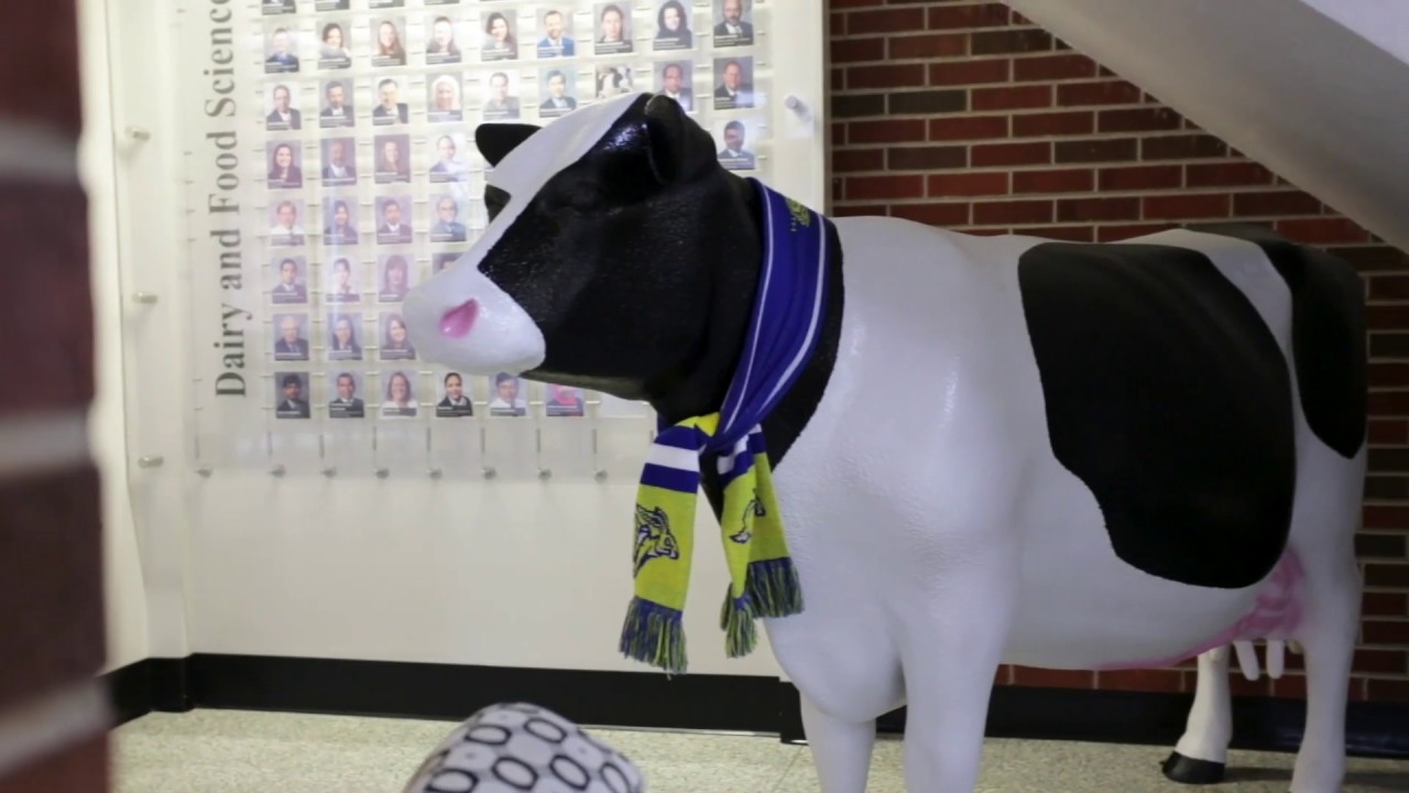 CampusTour | Alfred Dairy Science Hall