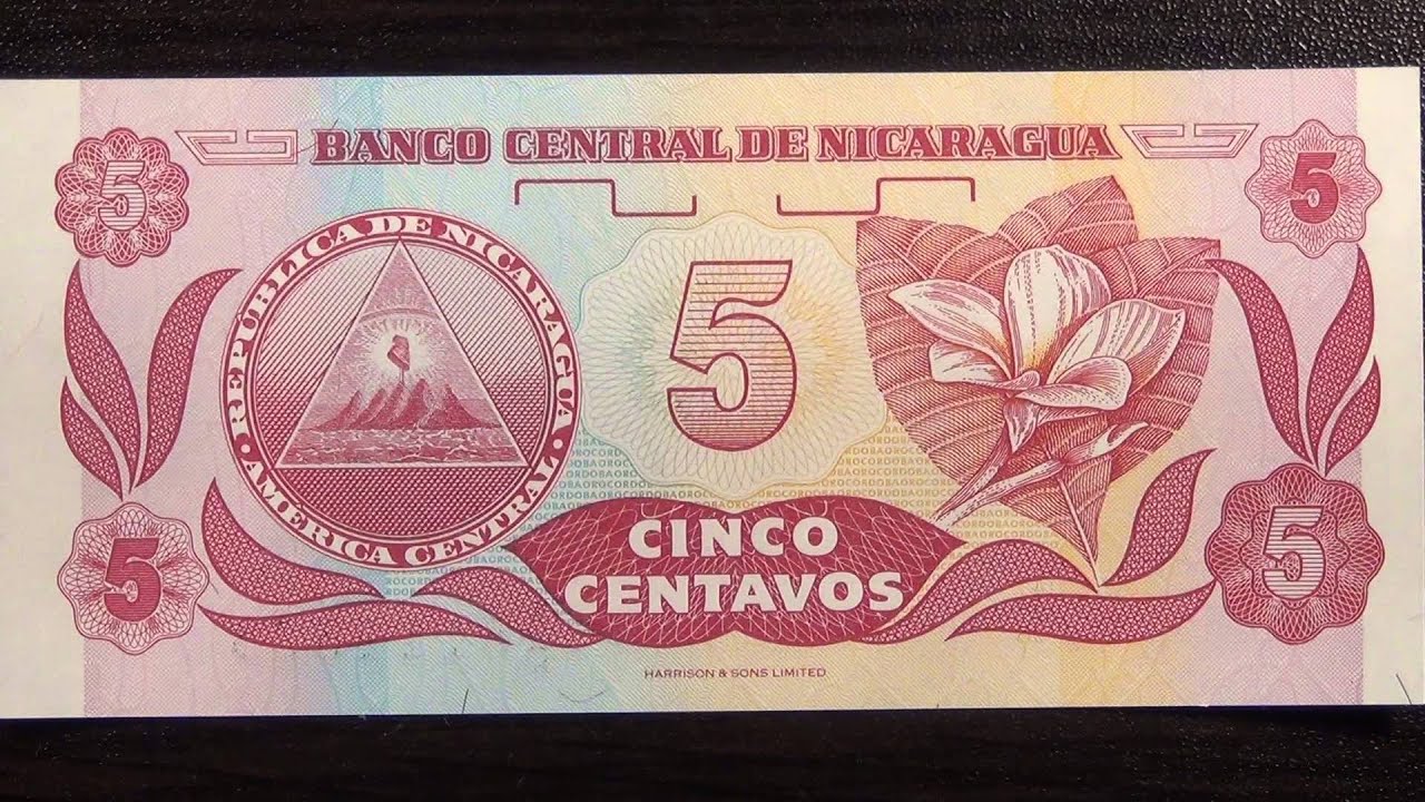 Обзор банкнота НИКАРАГУА, 5 сентаво, 1991 год, Портрет Франсиско Эрнандеса де Кордобы, Плюмерия цвет