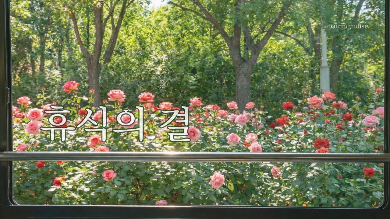[playlist] 데일리로 듣기 좋은 차분한 음악 | 편안한 힐링 플레이리스트 #중간광고없음 #편안한음악 #카페음악 #감성팝송