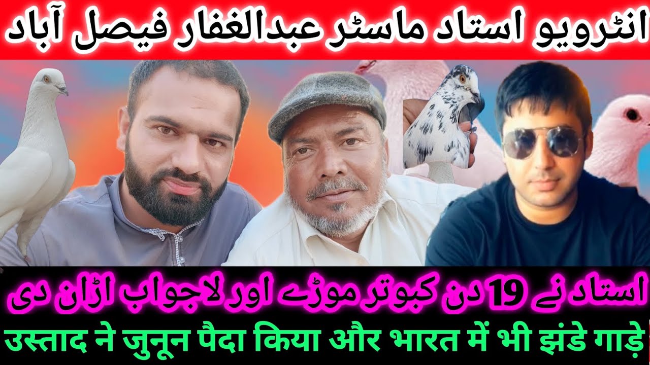 Kabootar Bazi Interview Ustad Master Gafar SAB Faslabad||Kabootar Bazi Yazman
