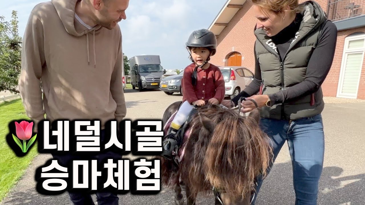 말 처음 타본 봉글이 반응 ㅎ | 이민 정착기21