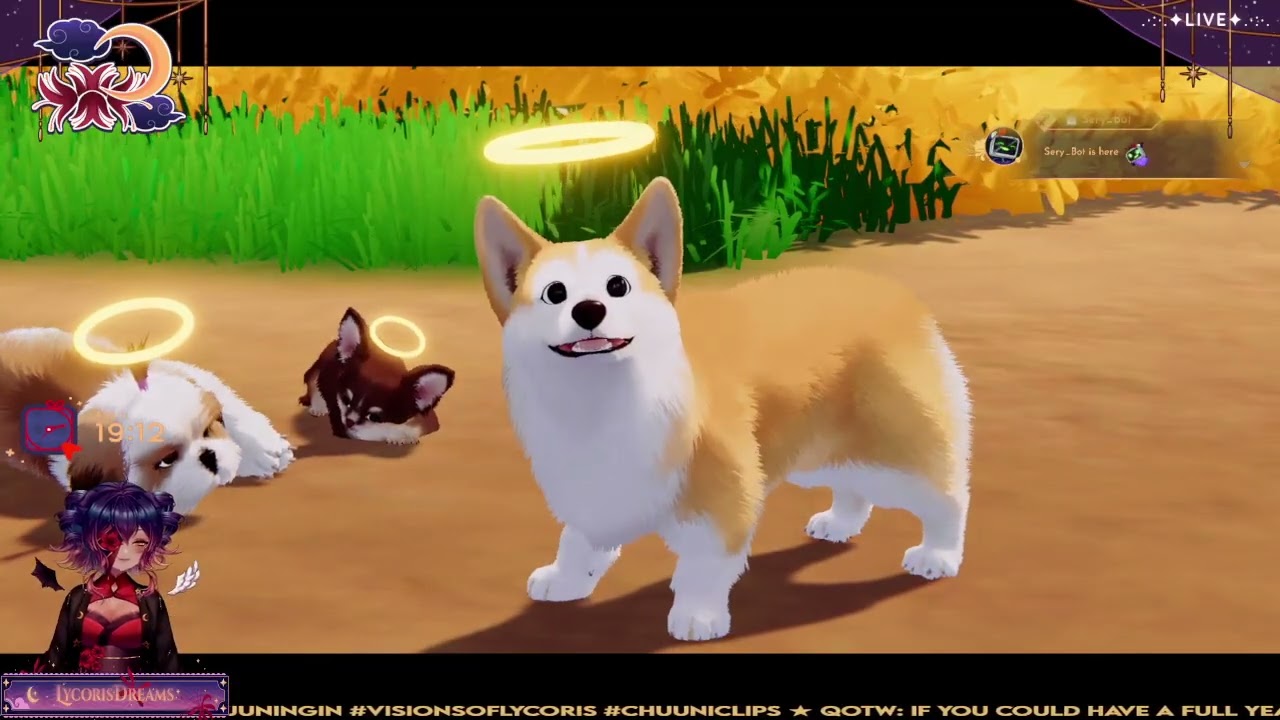 [02/11/2026]・MY LITTLE PUPPY VOD・Rainbow Bridge Adventures?!・GUERRILLA STREAM