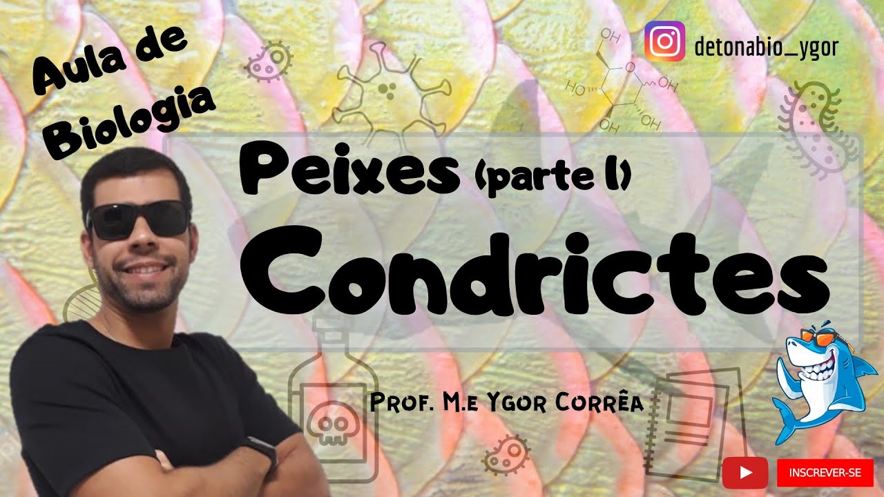 Reino Animal (Aula XXII) - Filo Cordado - Peixes (parte I) - Condrictes