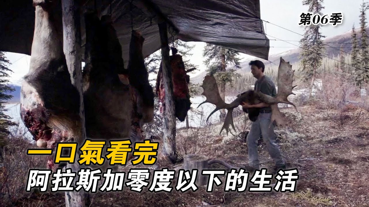 一口氣看完阿拉斯加零度以下的生活，狩獵上千斤駝鹿，購買土地翻新舊木屋，捕洄遊鮭魚油煎海狸肉！紀錄片