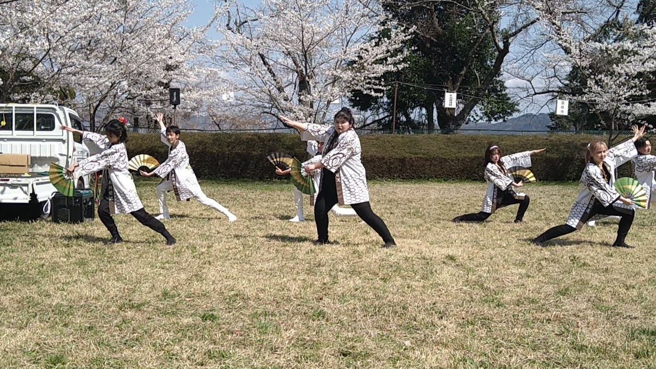 2024・4月13日・岩手県奥州市・前沢令和6年度25歳厄年連「龍翠蓮」・お物見公園　前沢桜まつり