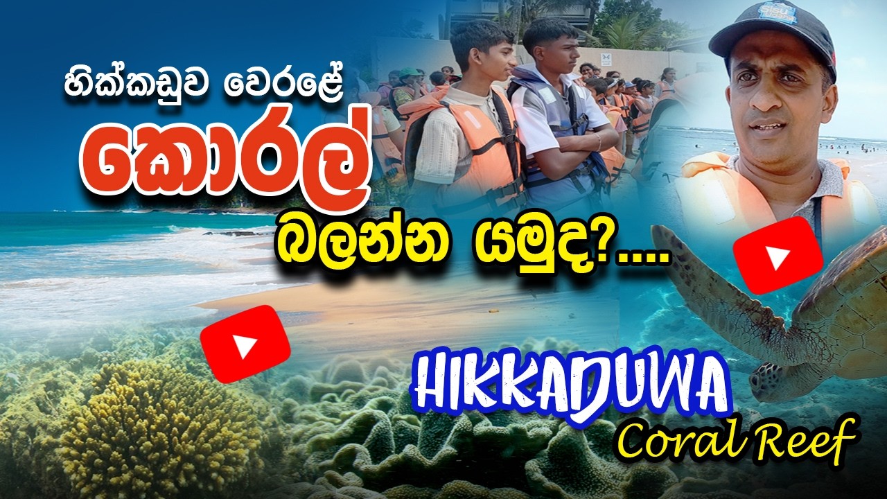 Hikkaduwa Coral Beach