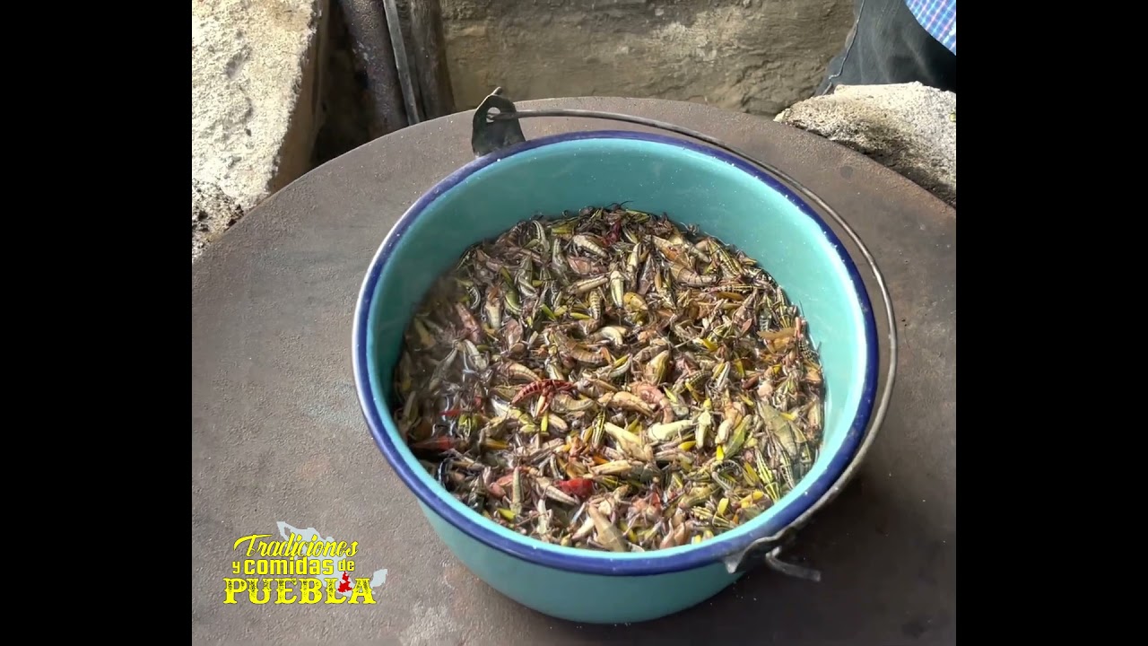 Ricos Chapulines con Sal y Lim&oacute;n