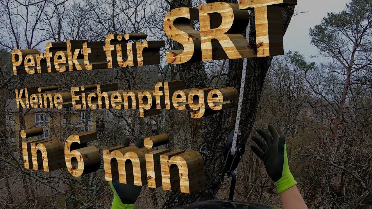 Schnelle Kronenpflege mit dem LOV2 - SRT Kronenpflege in 6 min.