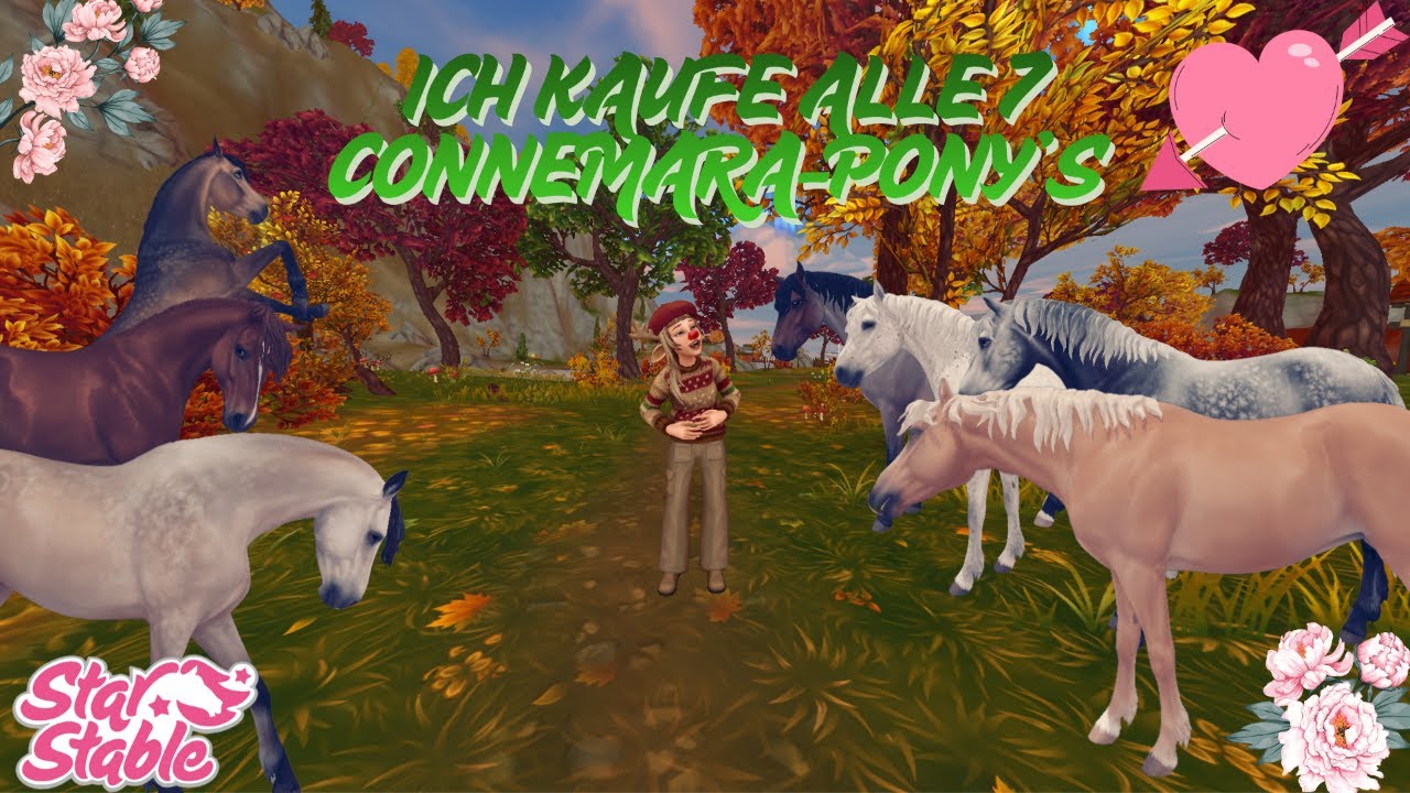 Ich kaufe alle neuen Connemara - Ponys😍 Star Stable Online🐴